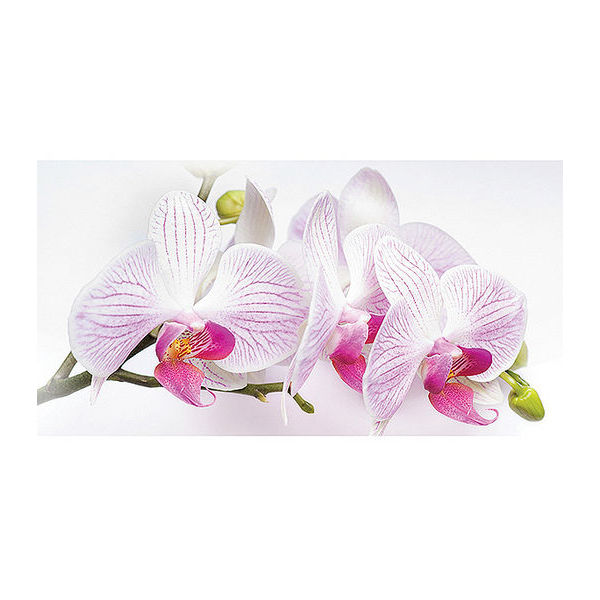 Фотообои OVK Design Орхидея 230092 1 лист 2.5х1.3 м